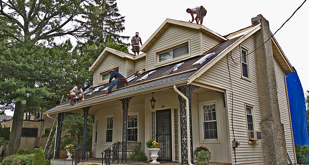 Best Shingle Roofing Installation  in Marshfield, WI