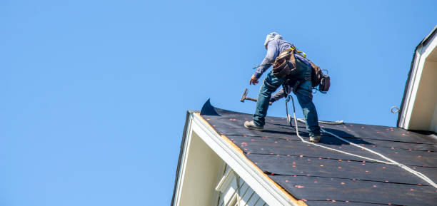 Best Roof Restoration Services  in Marshfield, WI